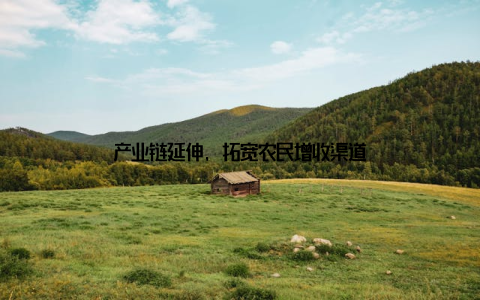 产业链延伸, 拓宽农民增收渠道