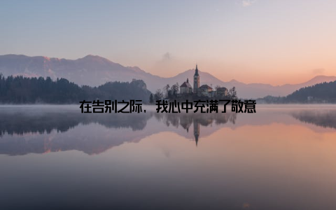 在告别之际, 我心中充满了敬意