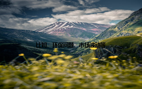 比如, 环保问题、市场波动等