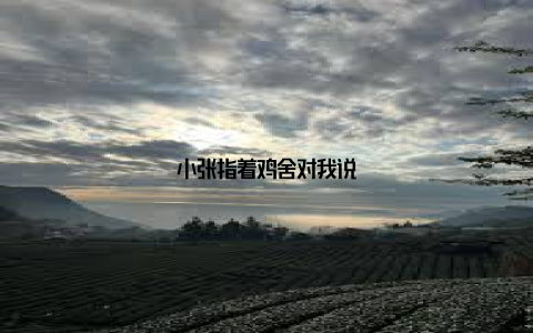 小张指着鸡舍对我说