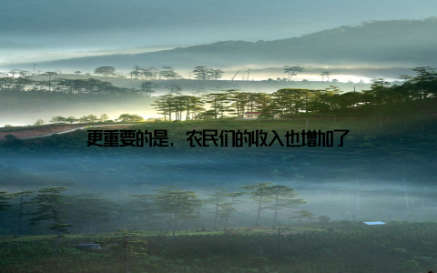 更重要的是, 农民们的收入也增加了