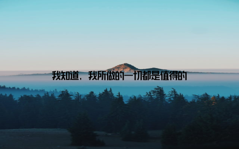 我知道, 我所做的一切都是值得的
