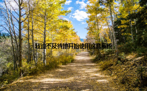 我迫不及待地开始使用这套系统