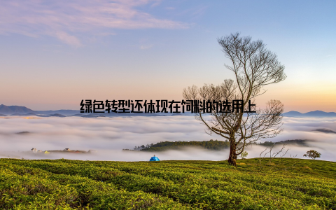 绿色转型还体现在饲料的选用上