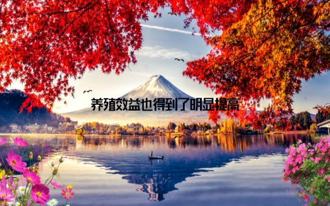 养殖效益也得到了明显提高
