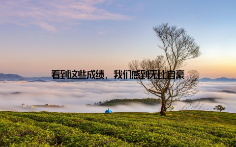 看到这些成绩, 我们感到无比自豪