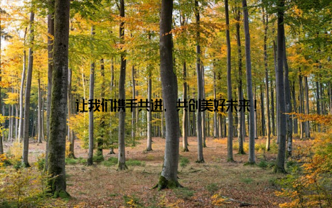 让我们携手共进, 共创美好未来!