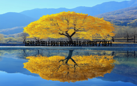这些政策让我们的养殖技术得到了提升