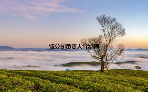 该公司负责人介绍道
