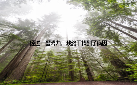 经过一番努力, 我终于找到了病因