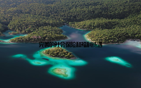 完善的社会保险和福利待遇