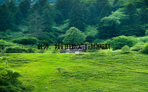 此外, 我们开始关注动物福利