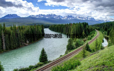 回首与EM菌的邂逅, 我感慨万分