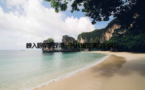 映入眼帘的是那一片片琳琅满目的展位