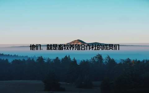 他们, 就是畜牧养殖合作社的成员们