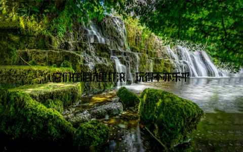 它们在泥坑里打滚, 玩得不亦乐乎