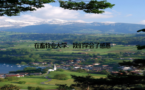 在畜牧业大学, 我们学会了感恩