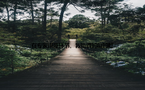 在专家讲座环节, 我听得如痴如醉