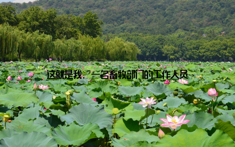 这就是我, 一名畜牧部门的工作人员