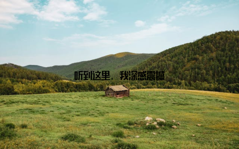 听到这里, 我深感震撼