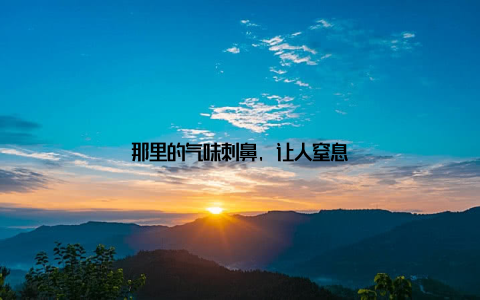 那里的气味刺鼻, 让人窒息
