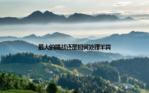 最大的挑战还是如何处理羊粪