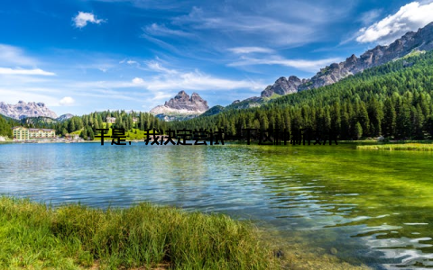 于是, 我决定尝试一下这种新技术