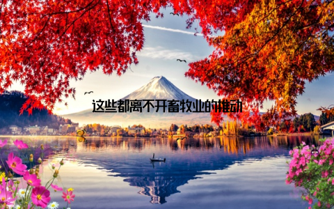 这些都离不开畜牧业的推动
