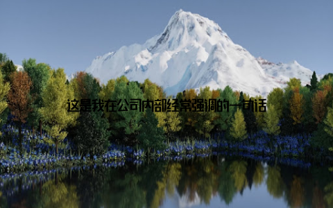这是我在公司内部经常强调的一句话