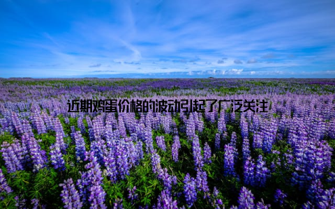 近期鸡蛋价格的波动引起了广泛关注