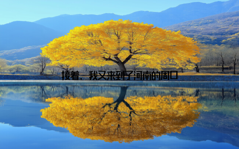 接着, 我又来到了河南的周口