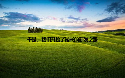 于是, 我们开始了漫长的研发之路