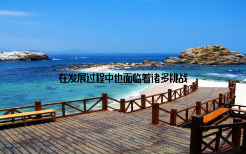 在发展过程中也面临着诸多挑战