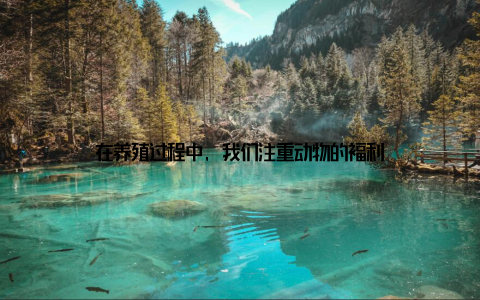 在养殖过程中, 我们注重动物的福利