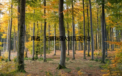 再者, 它拥有强大的互动平台