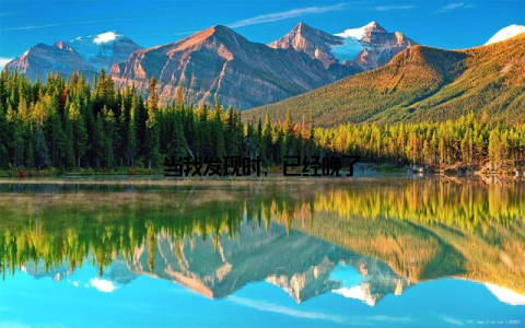 当我发现时, 已经晚了