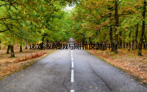 这次会议将是我与同行们交流的平台