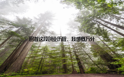 回首这段创业历程, 我感慨万分