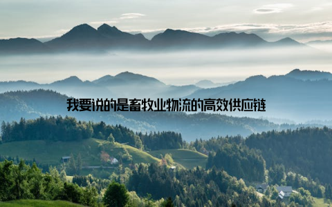 我要说的是畜牧业物流的高效供应链