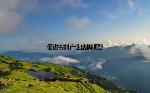 促进农村产业结构调整