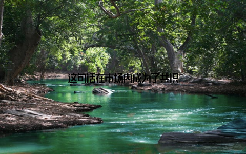 这句话在市场内成为了共识