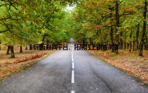 利用互联网平台, 拓展线上销售渠道