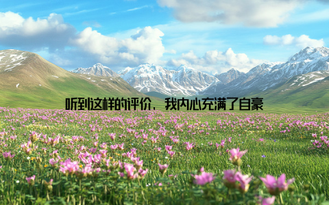 听到这样的评价, 我内心充满了自豪