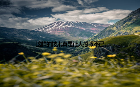 这样的技术真是让人感叹不已