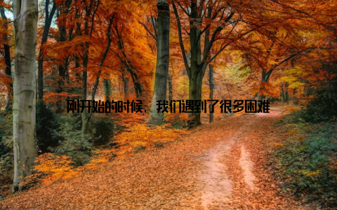 刚开始的时候, 我们遇到了很多困难