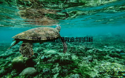 当然, 高效也是我追求的目标