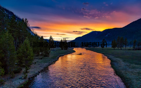 回顾这次招聘盛宴, 我感慨万分