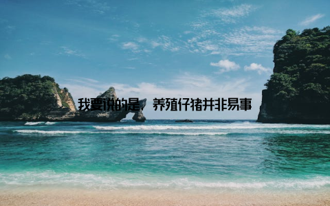 我要说的是, 养殖仔猪并非易事