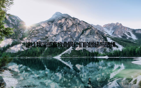 这让我深感畜牧业同仁们的团结与热情