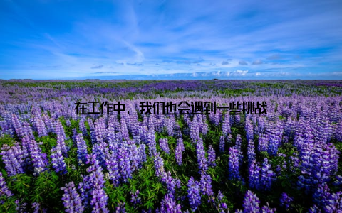在工作中, 我们也会遇到一些挑战